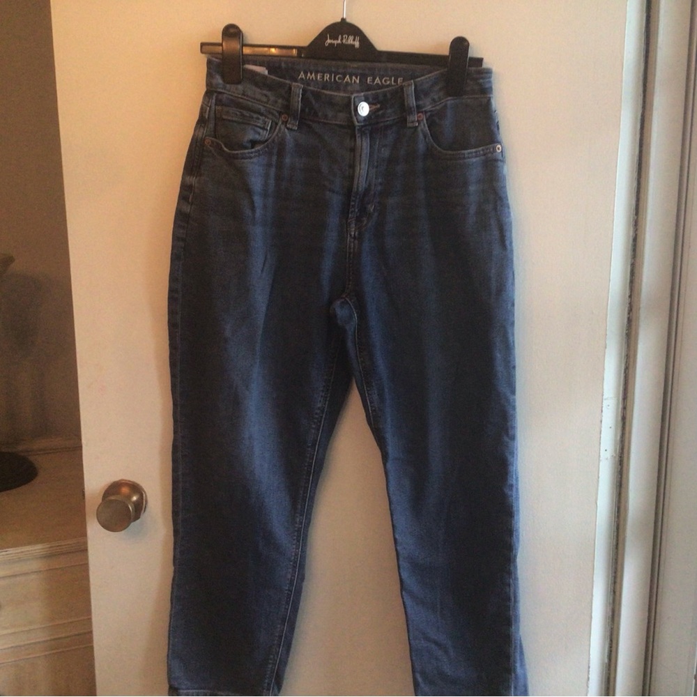 American Eagle Outfitters Blue Ankle Cropped Jeans